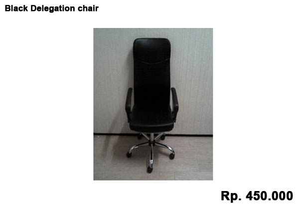 Black Delegation chair